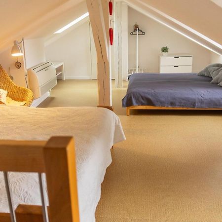City Center Duplex Loft Colmar Exteriör bild